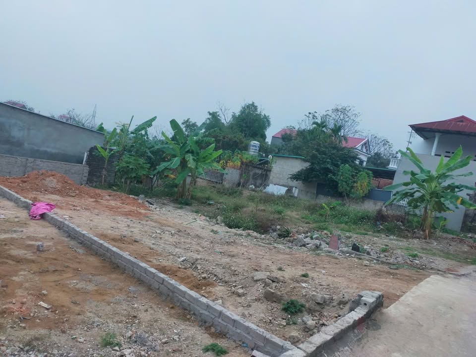 Đất nền Hiệp Hòa Bắc Giang 110m² giá 900 triệu - Vị trí đẹp, dễ xây dựng!