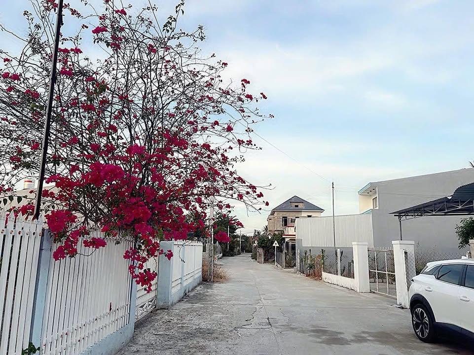 Đất Cam Phúc Nam, Quốc lộ 1A, 222m² giá 2 tỷ - Đầu tư sinh lời ngay!