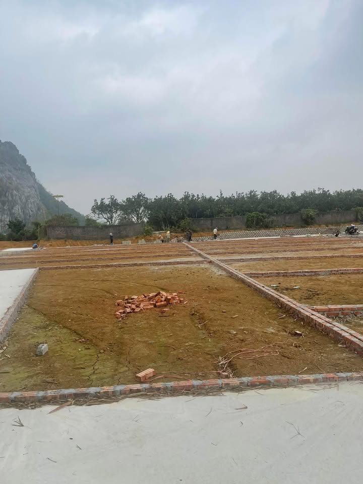 Đất nền Phú Thành, Lạc Thủy 114m² - Sổ đỏ chính chủ, giá tốt đầu tư!