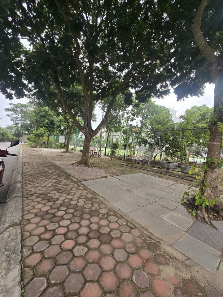 Lô đất khu đô thị Vạn Lộc Hải Dương 74.25m² giá 3 tỷ - Đầu tư sinh lời ngay!