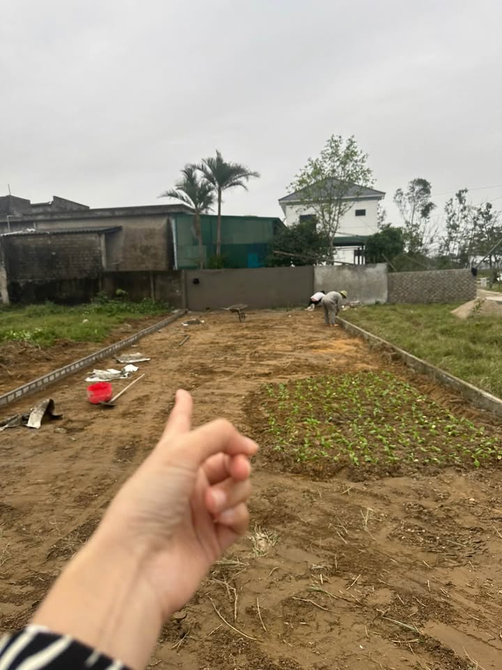 Đất nền Lối 2 trục xã Nghi Phong 116m² giá 2.5 tỷ - Vị trí đẹp, đầu tư sinh lời!