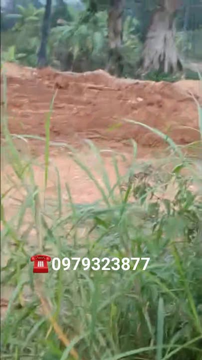 Đất thổ cư xã Sơn Cương, 140m² giá 1.65 tỷ - Đầu tư sinh lời ngay!