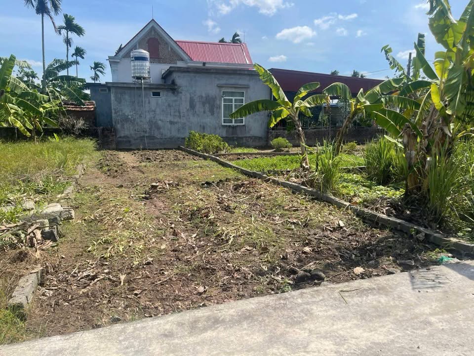 Đất thổ cư An Lão Hải Phòng 70m² - Sổ đỏ chính chủ, vị trí đẹp!