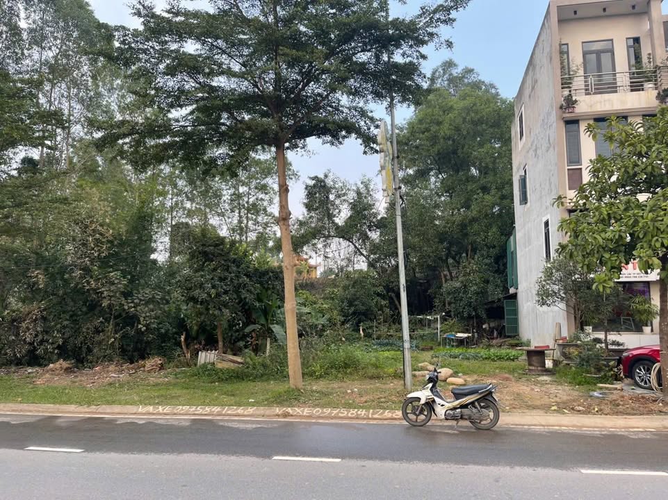 Đất nền mặt đường Phù Đổng - TP. Việt Trì - 129,3m² giá 8 tỷ - Đầu tư sinh lời cao!