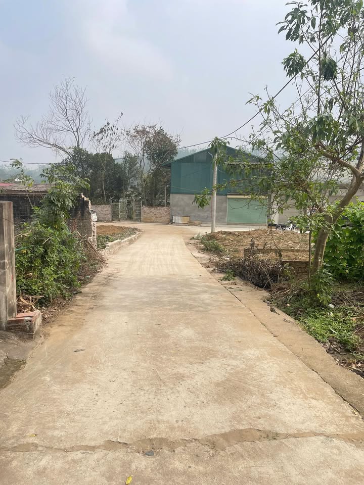 Đất nền Khu 12, Xã Kim Đức, 70m² giá chỉ 1.3 tỷ - Cơ hội đầu tư tuyệt vời!