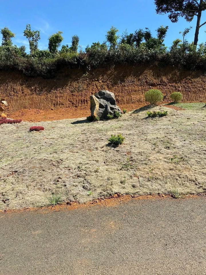 Đất nền Lộc An 120m² giá 430 triệu - Cơ hội đầu tư tuyệt vời!