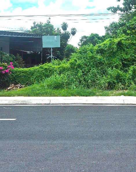 Bán mặt tiền đường Tôn Đức Thắng, Tây Ninh 335m² - Vị trí đắc địa kinh doanh!