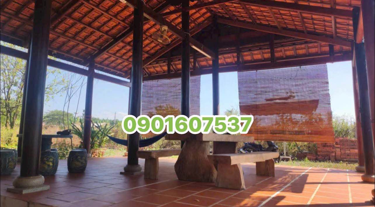 Đất nhà vườn Trừ Văn Thố - Bàu Bàng 1.145,8m² giá 150 triệu - Đầu tư sinh lời ngay!