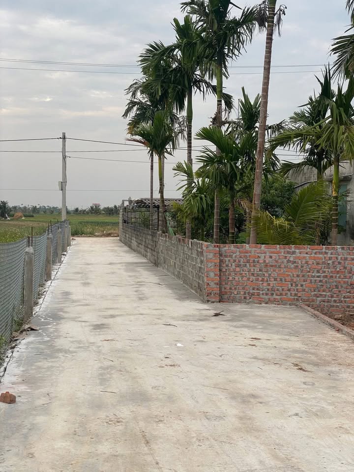 Đất nền Xã Nam Hưng, Huyện Tiên Lãng, 168m² - Giá cực kỳ hợp lý!