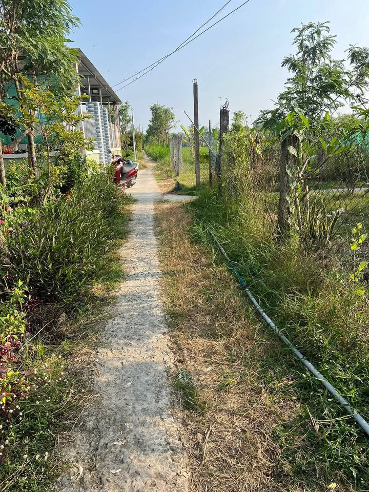 Đất nền Tân Hòa 165m² giá 180 triệu - Sổ đỏ chính chủ, thuận tiện đầu tư!