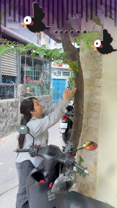 Nhà riêng hẻm 3m Phường 2 Quận 6, 17.7m² giá 3.25 tỷ - Sổ hồng riêng, hoàn công đầy đủ!