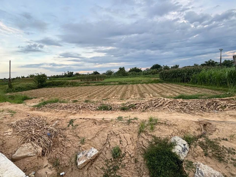 Đất nền BHK Tịnh An, đường Hoàng Sa Dốc Sỏi, 255m² - Lô góc 2 mặt tiền!