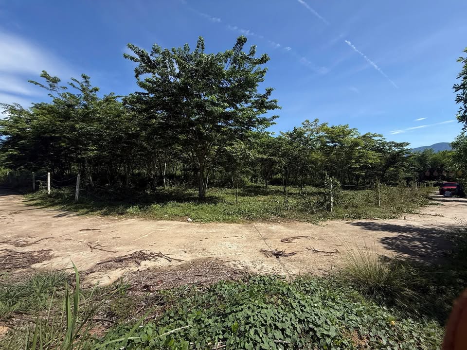 Đất nền Thôn Láng Nhớt, Xã Diên Thọ 550m² giá 350 triệu - Đầu tư sinh lời ngay!