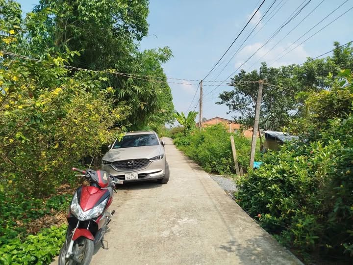 Đất thổ cư và lúa 790m² tại Bình Tịnh, Tân Trụ - Giá chỉ 1.15 tỷ!