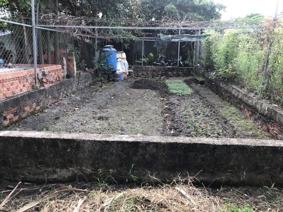 Đất nền Thạnh Xuân 25, Quận 12, 67m² chỉ 1 tỷ - Cơ hội đầu tư hấp dẫn!