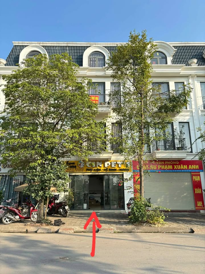 Cho thuê nhà mặt tiền tại KĐT Rùa Vàng - Thích hợp kinh doanh hoặc ở lâu dài!