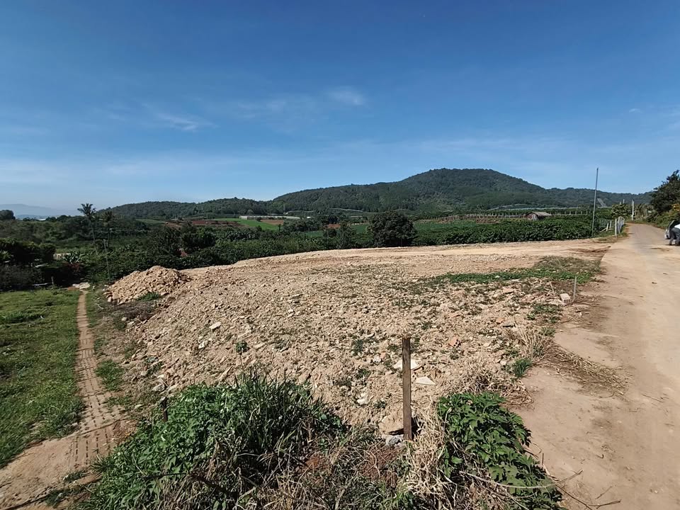 Đất thổ cư 246m² xã Liên Hiệp giá 1.09 tỷ - Tiềm năng lớn cho đầu tư!