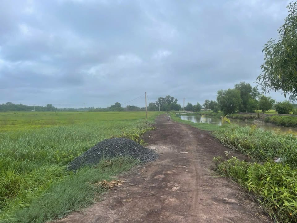 Đất Farm Ninh Điền Châu Thành Tây Ninh 1ha giá chỉ 1.55 tỷ - Cơ hội đầu tư hấp dẫn!