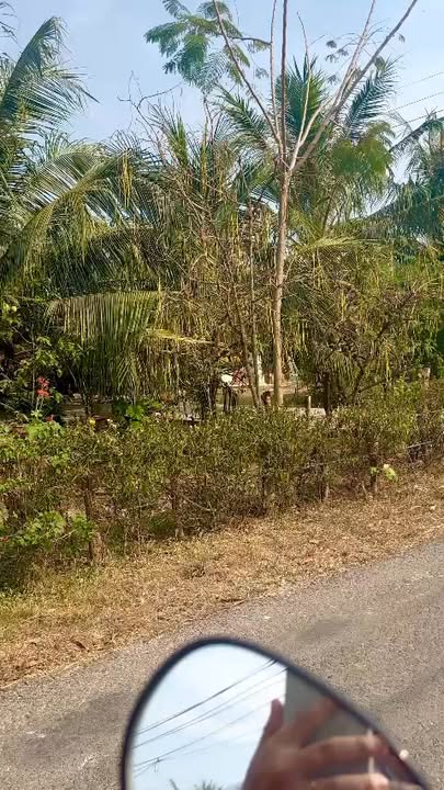 Đất nền 150m² tại Ấp Bến Cừ, Ninh Điền - Giá chỉ 125 triệu, cơ hội đầu tư tuyệt vời!