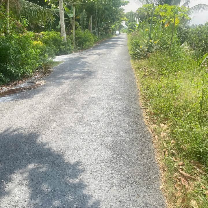 Đất nền 3700m² xã Vĩnh Xuân, huyện Trà Ôn giá chỉ 2.6 tỷ - Cơ hội đầu tư tuyệt vời!