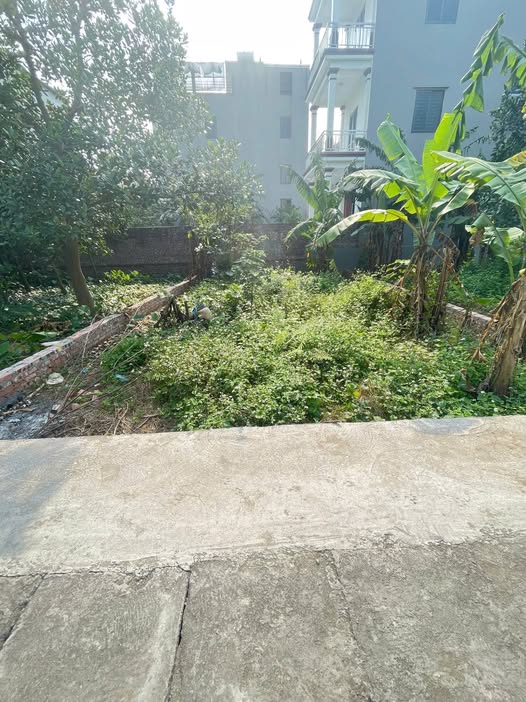 Lô đất 55m² Gia Lâm giá nhỉnh 3 tỷ - Ô tô đỗ cửa, đầu tư sinh lời!