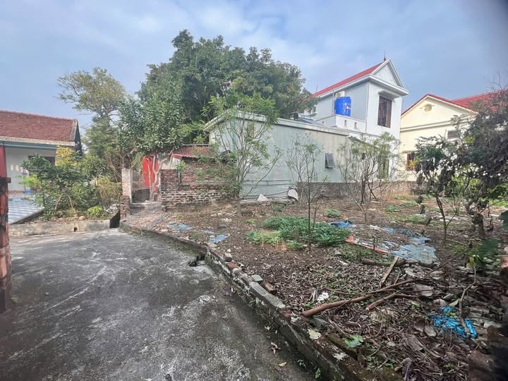 Đất nền Thụy Thanh, Thái Thụy 140m² giá 5 tỷ - Đầu tư sinh lời hiệu quả!