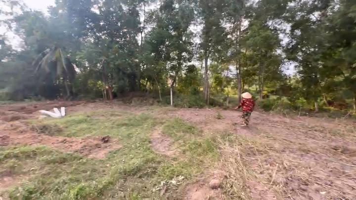 Cho thuê kho 1250m² tại Huyện Long Phú, Sóc Trăng - Thích hợp xây dựng kho chứa ô tô!