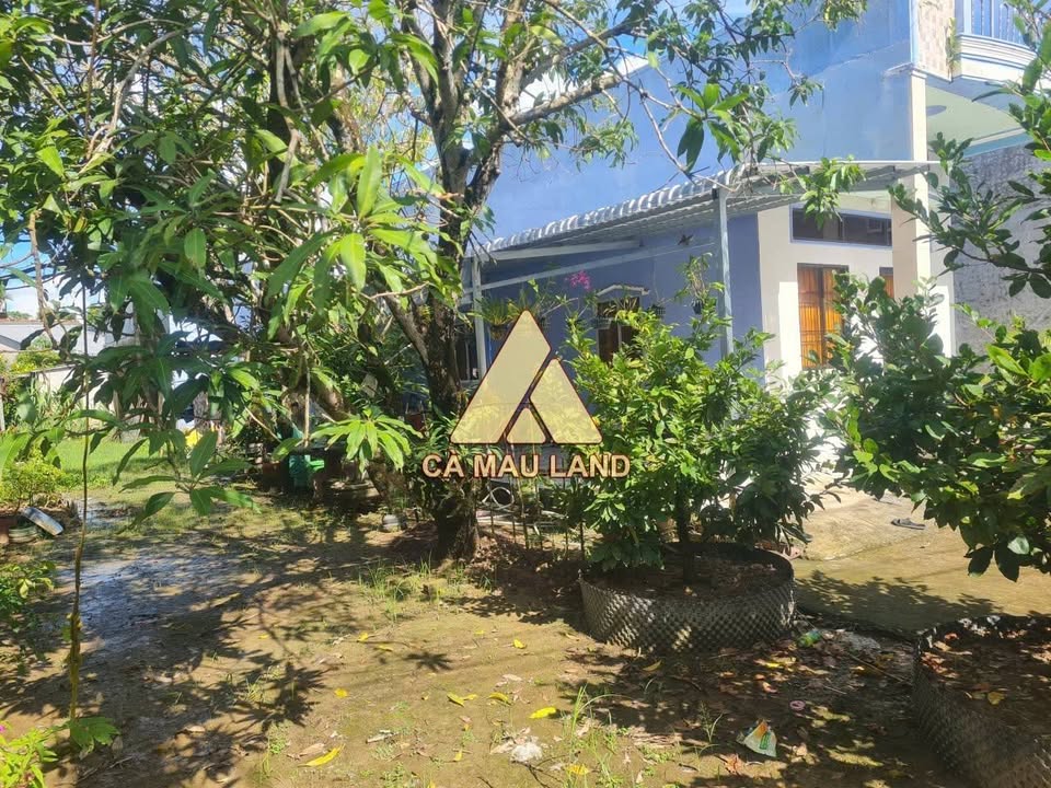 Đất nền Cà Mau 159m² giá 900 triệu - Gần Ủy ban Lý Văn Lâm chỉ 300m!