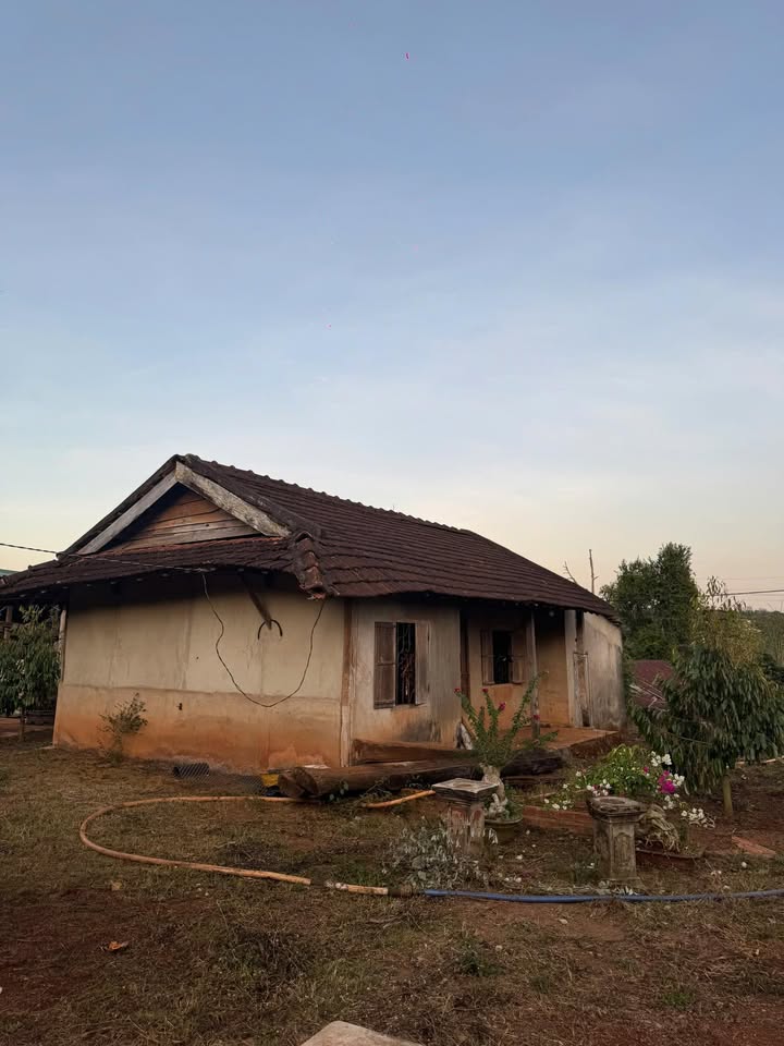 Đất thổ cư 923m² tại Cư Dliê M’nông, giá chỉ 990 triệu - Cơ hội đầu tư tuyệt vời!