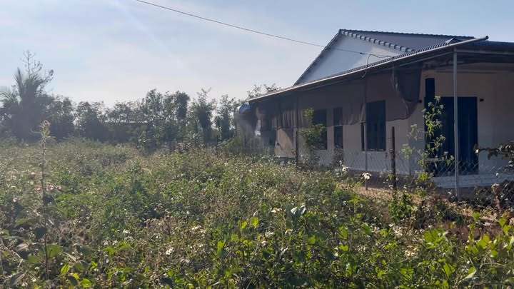 Đất thổ cư Thọ Hoàng Đắk Sắk 400m² giá 14 tỷ - Cơ hội đầu tư hấp dẫn!