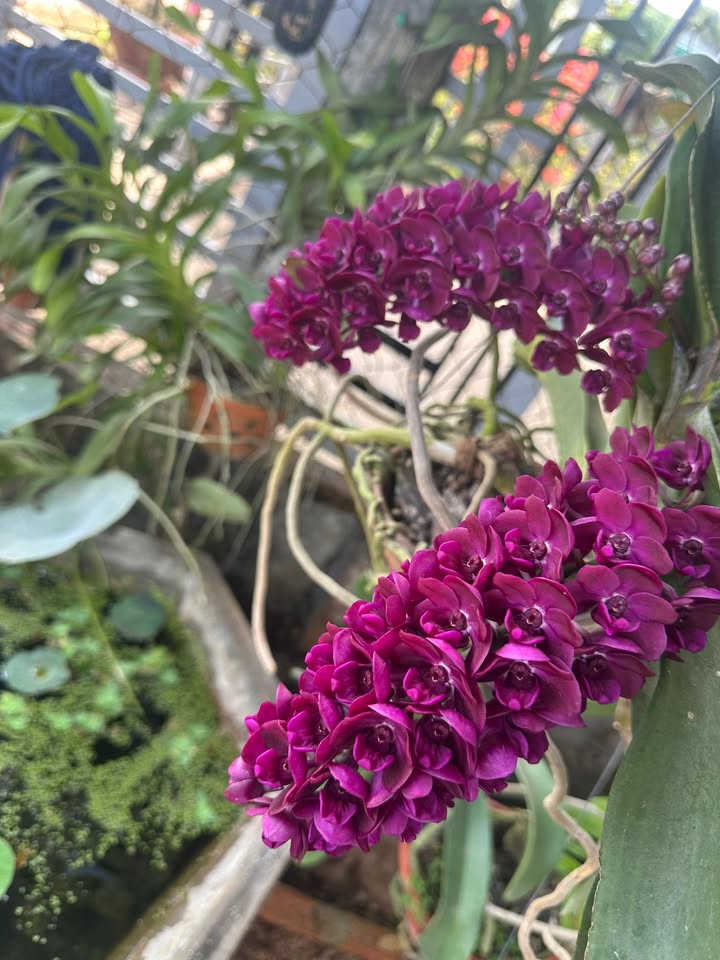 Đất nền Xã Nam Đà, Huyện Krông Nô 100m² giá 760 triệu - Giao thông thuận lợi!