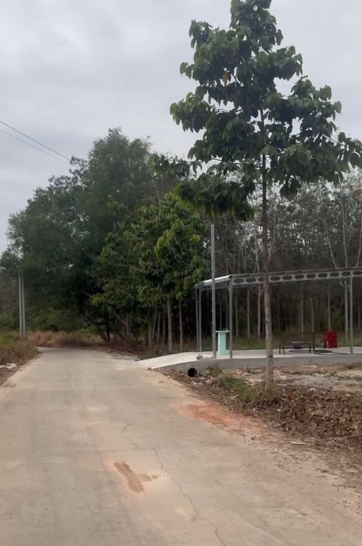 Đất nền 285m² xã Phước Sang, huyện Phú Giáo chỉ 550 triệu - Đầu tư sinh lời ngay!