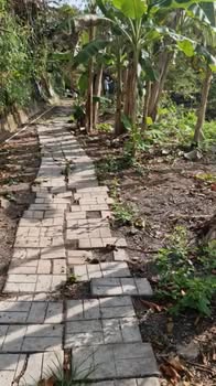 Cho thuê đất vườn 8000m² tại Cái Răng, Cần Thơ chỉ 3,5 triệu - Tiện lợi cho trồng trọt và nuôi cá!