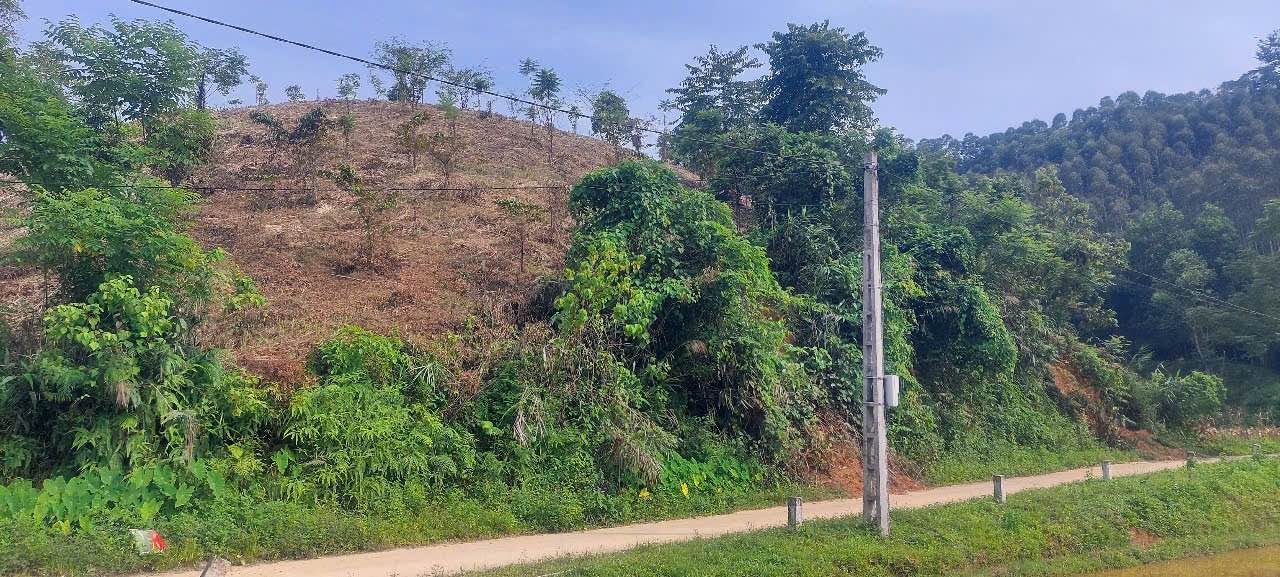 Đất nông nghiệp 7ha tại Cúc Đường, Võ Nhai - Giá thỏa thuận, tiềm năng phát triển lớn!