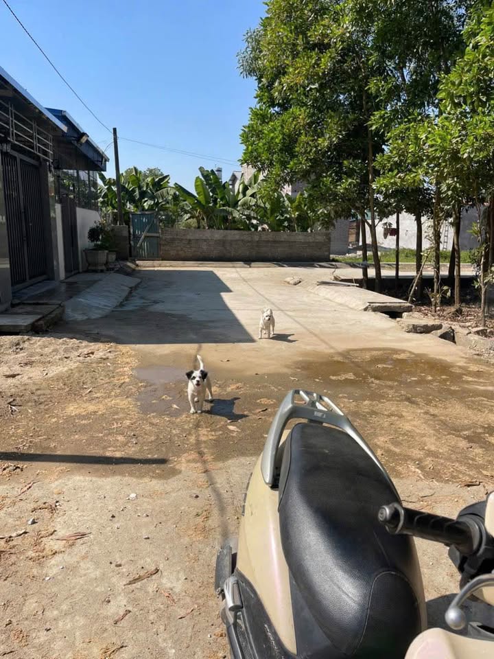 Đất nền 92m² tại Phường Chùa Hang, Thái Nguyên - Gần trung tâm y tế