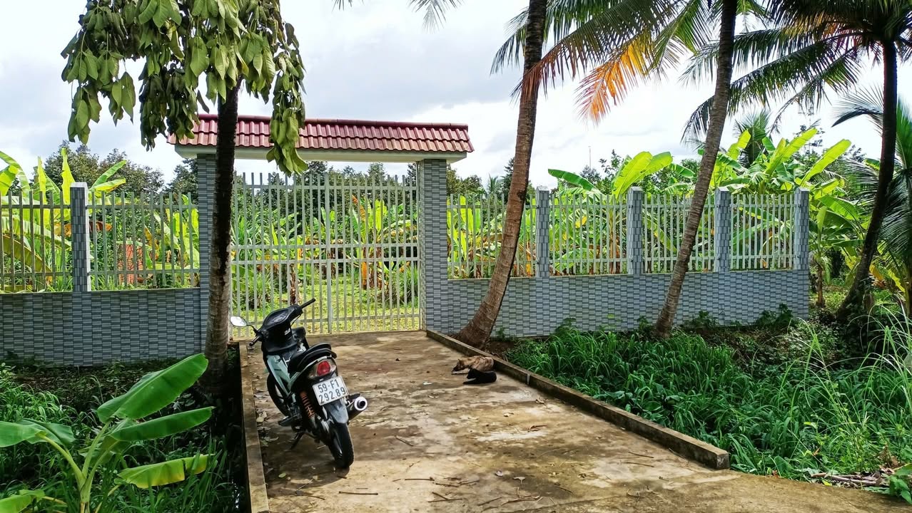 Đất nền Huyện Bình Đại 500m² giá chỉ 1.5 tỷ - Đầu tư sinh lời ngay!