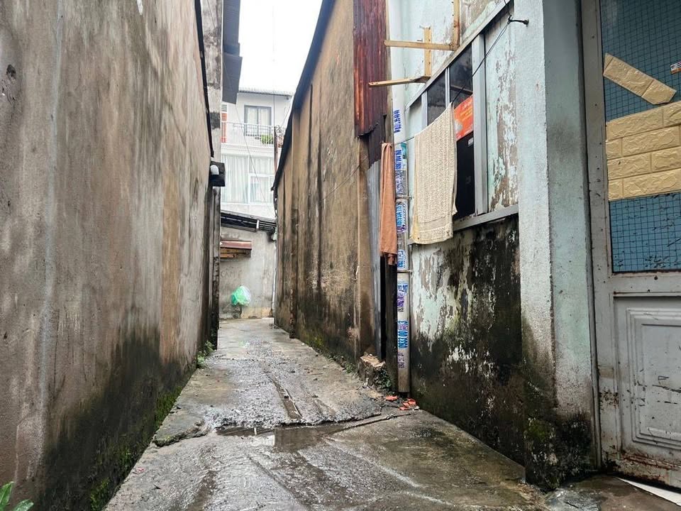 Nhà Thống Nhất An Hội Đông, Gò Vấp 55.8m² giá 3.99 tỷ - Tiện xây mới ngay!