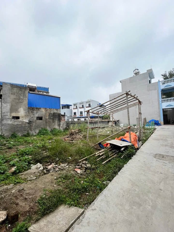 Đất nền TDP số 3 Mỹ Xá Nam Định 50m² giá 1.1 tỷ - Vị trí thuận lợi cho đầu tư!