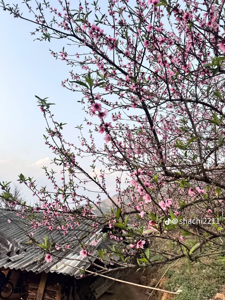 Nhà 5 tầng Minh Khai 40m² giá 10.9 tỷ - Vị trí đắc địa, cho thuê ổn định!