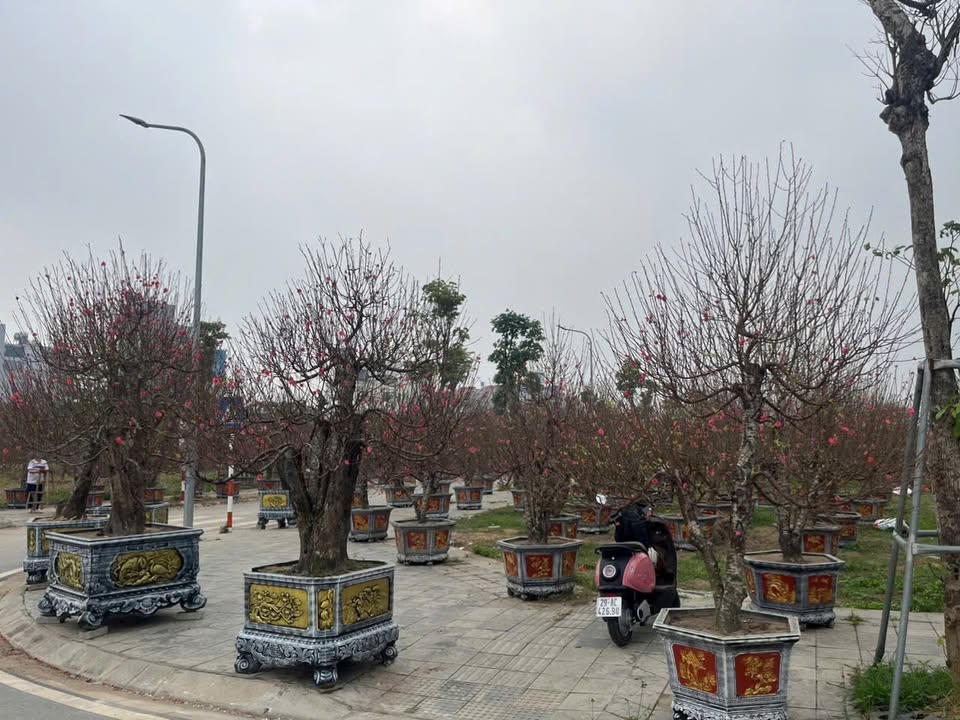 Bán đất xã Đông Hội, huyện Đông Anh 117m² - Đầu tư tiềm năng, view hoa viên đẹp!