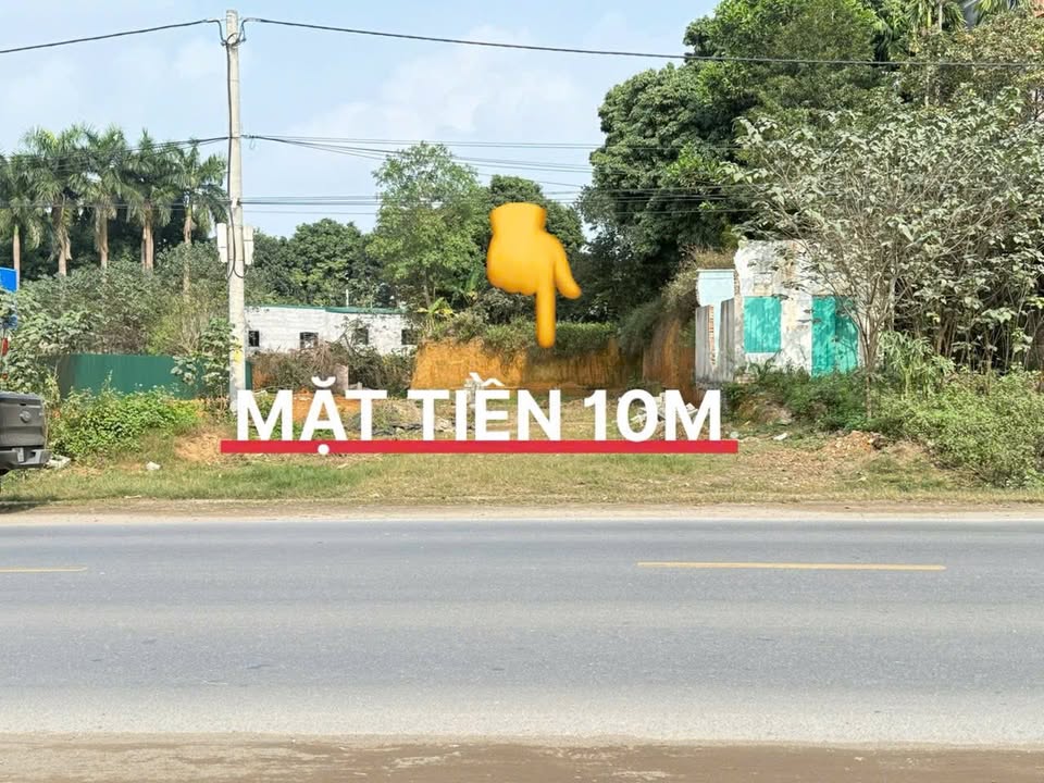 Đất nền 330m² xã Cổ Đông, Sơn Tây - Sổ đỏ chính chủ, giá chỉ 6.6 tỷ!