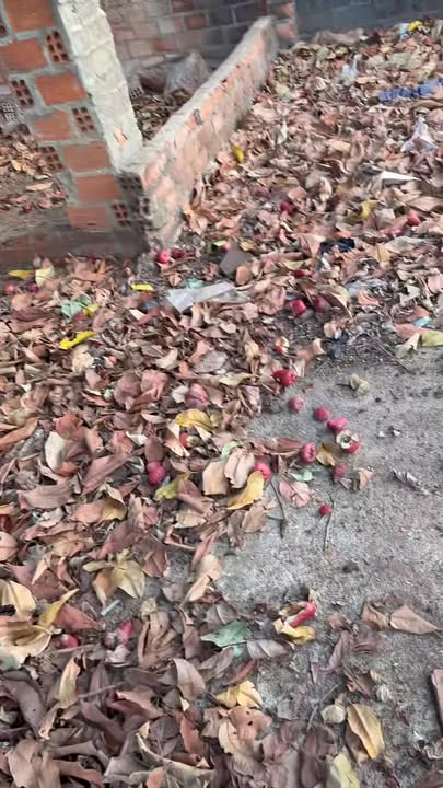 Đất nền Làng Núc, Xã Ia Kriêng, 1000m² - Giá thỏa thuận, cơ hội đầu tư hấp dẫn!