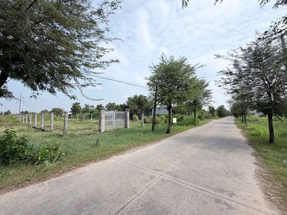 Đất nền 500m² mặt tiền đường Nguyễn Thị Bảy, Cần Giuộc - Giá chỉ 4.3 tỷ!