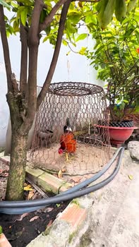 Nhà đẹp Gò Vấp, 64m² chỉ 8 tỷ - Sẵn sàng vào ở ngay!