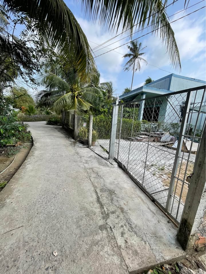 Đất nền thổ cư 115m² Xã Phú Thuận, Huyện Bình Đại giá 420 triệu - Đầu tư sinh lời ngay!