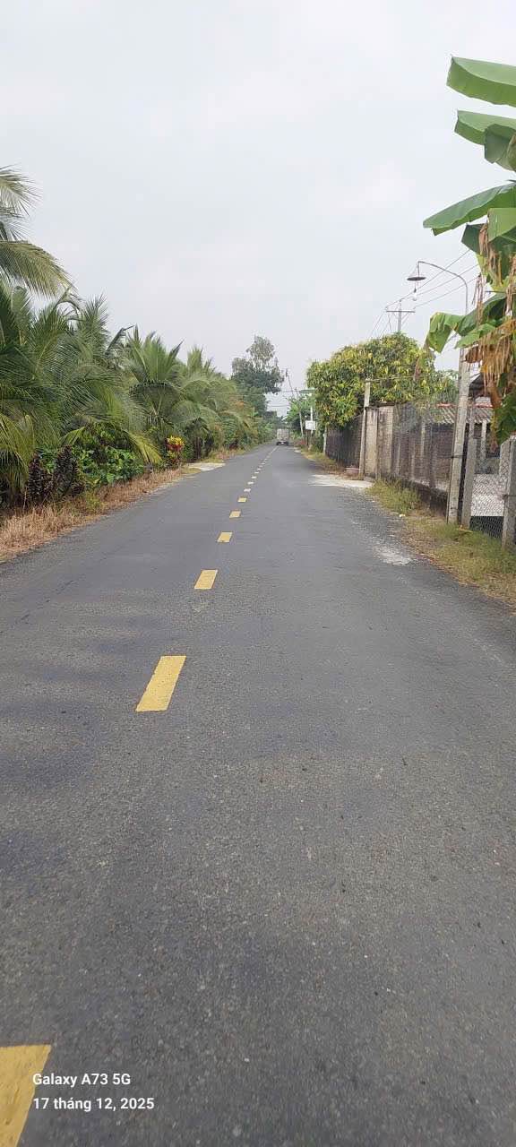 Đất vườn 1500m² tại Xã Thanh Bình, Chợ Gạo - Gần trung tâm Mỹ Tho chỉ 1.29 tỷ!