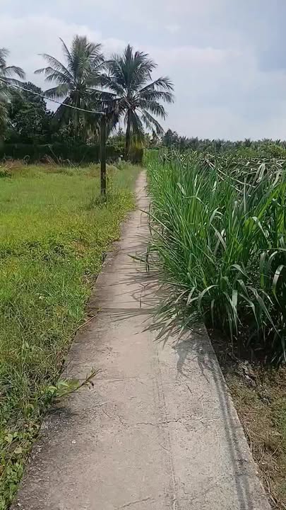 Đất vườn xã Phú Thuận B 2079m² giá 1.05 tỷ - Cơ hội đầu tư hấp dẫn!