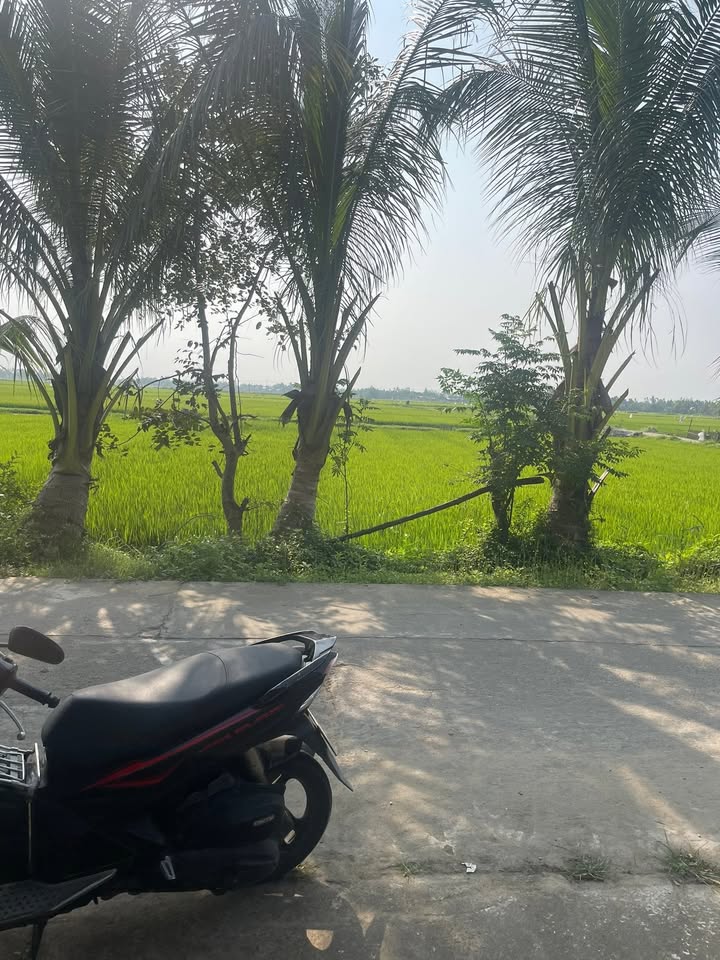 Đất nền Duy Vinh 220m² giá 1.6 tỷ - Sổ hồng chính chủ, vị trí đẹp!