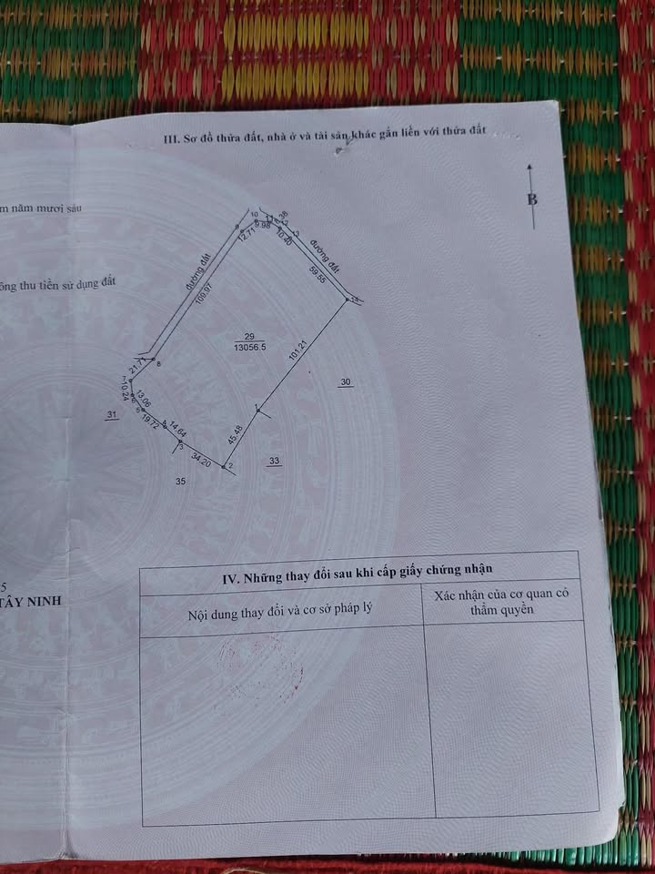 Đất nền Tân Hội, Tân Châu 10.000m² giá 1.7 tỷ - Cơ hội đầu tư hiếm có!