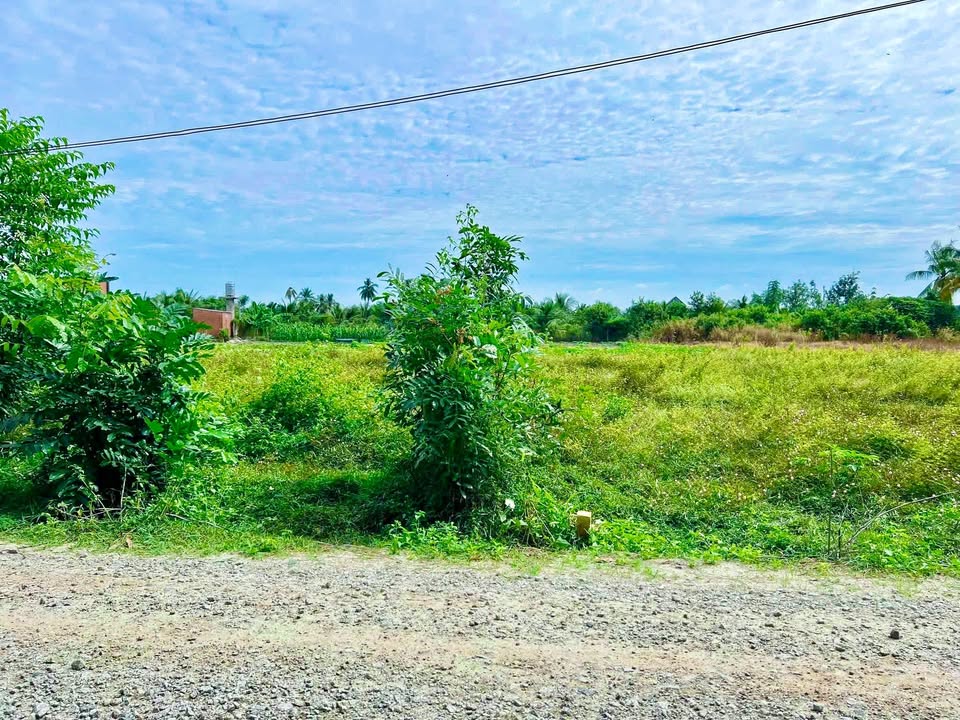 Đất thổ cư 150m² tại Xã Suối Đá, Huyện Dương Minh Châu - Cơ hội đầu tư hấp dẫn!